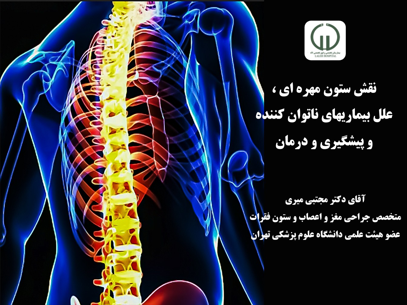نقش ستون مهره اي ، علل بيماريهاي ناتوان كننده و پيشگيري و درمان